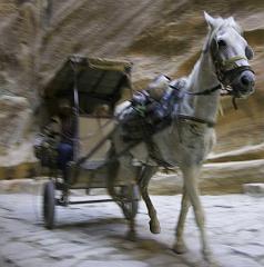 Petra IMGP3683
